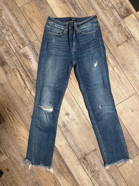 Vervet Ankle Jeans
